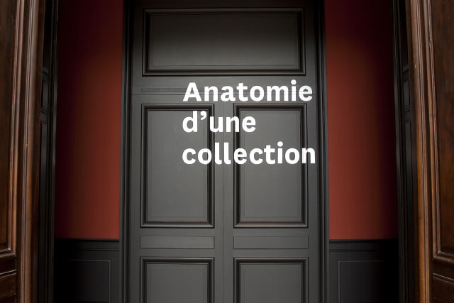 Anatomie d’une collection Anatomie d’une collection