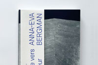 Anna-Eva Bergman, Voyage vers l’interieur
